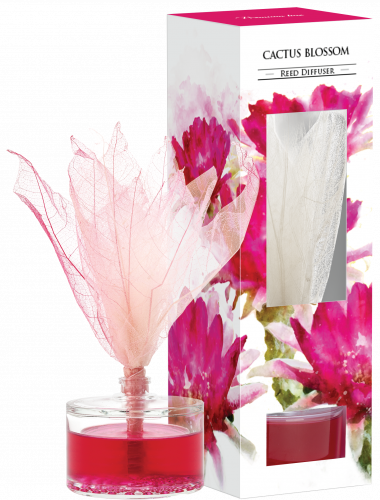 Difuzor 50ml, Catus blossom