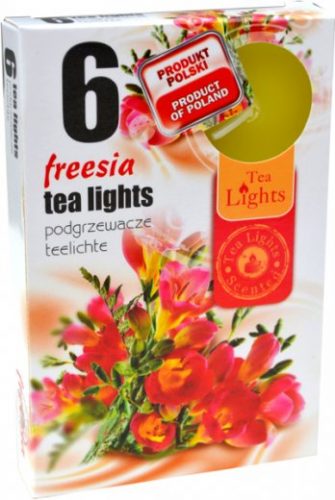 Sviečka čaj  6ks, freesia