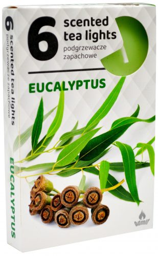 Sviečka čaj  6ks, eukalyptus