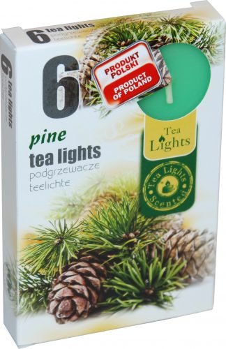 Sviečka čaj  6ks, pine