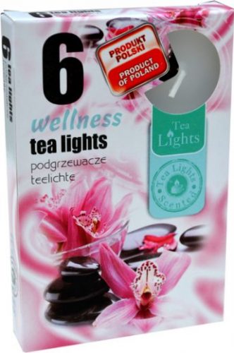 Sviečka čaj  6ks, wellness