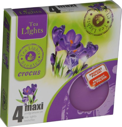 Sviečka čajová  MAXI, 4ks, crocus